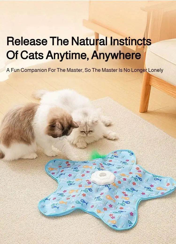 Interactive Hide & Seek Cat Toy