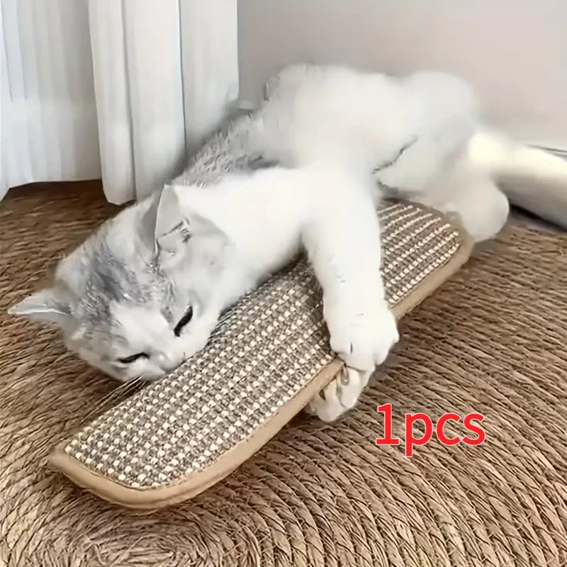 Cat Toy Pillow & Scratching Pad