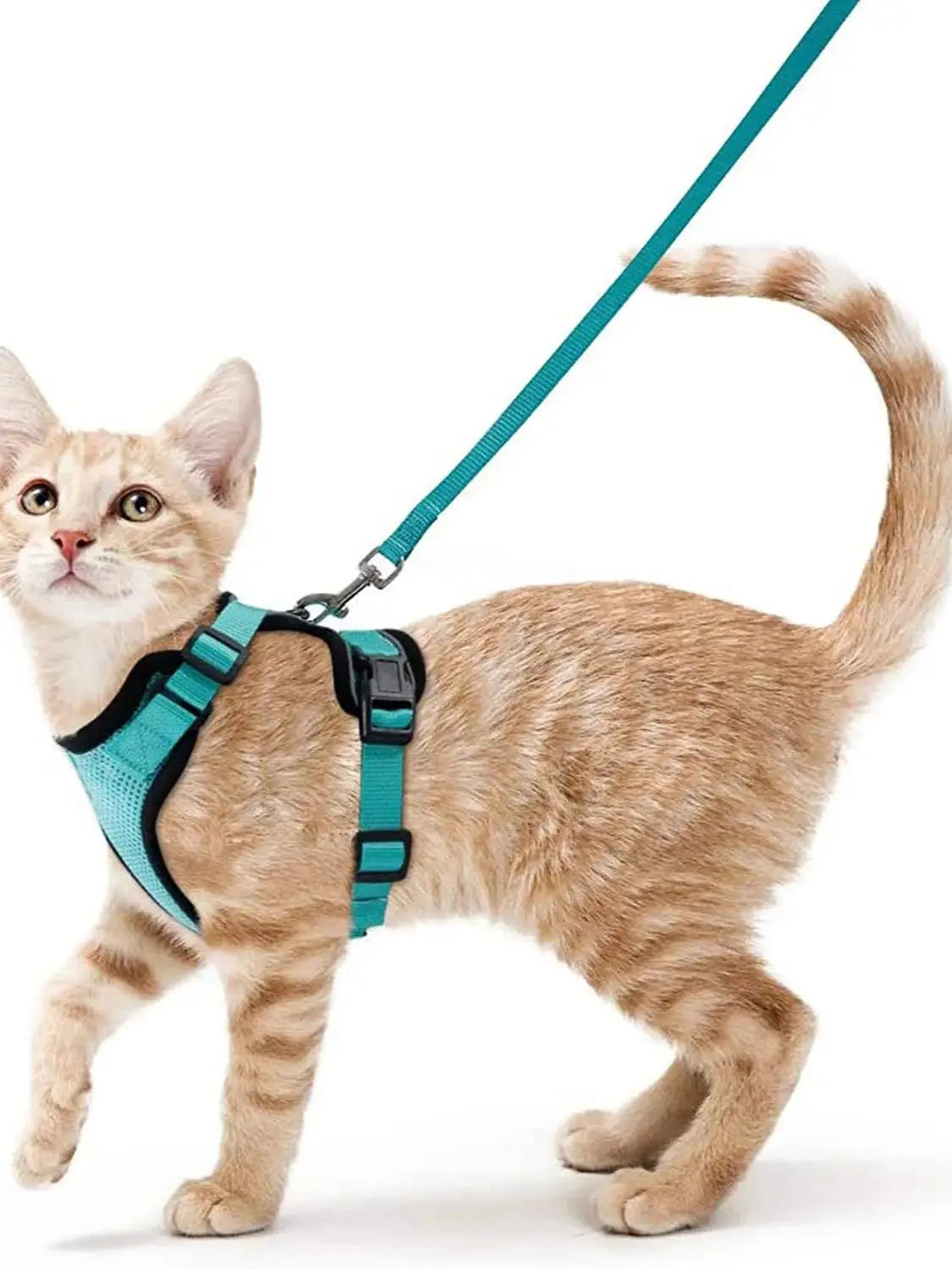 Adjustable Cat Harness & Leash Set