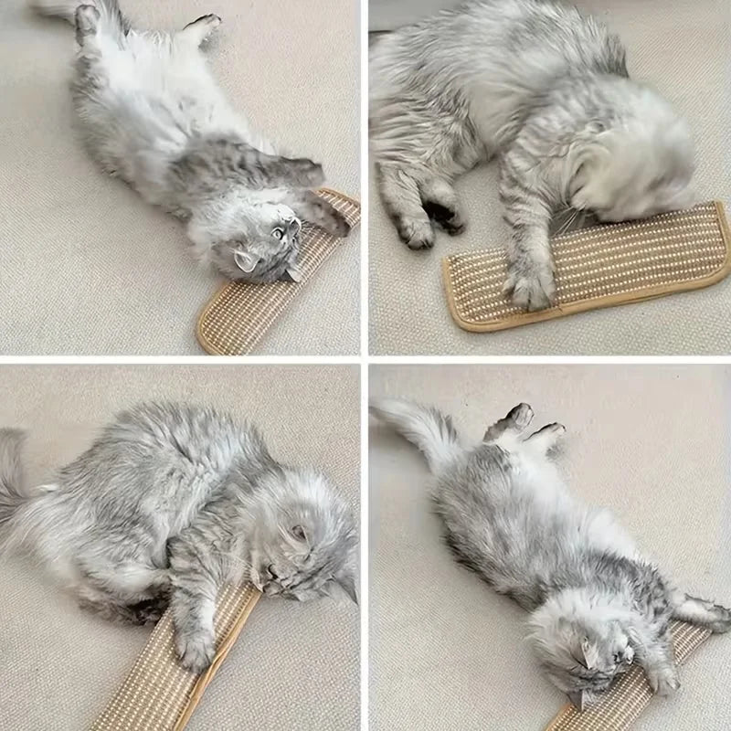 Cat Toy Pillow & Scratching Pad