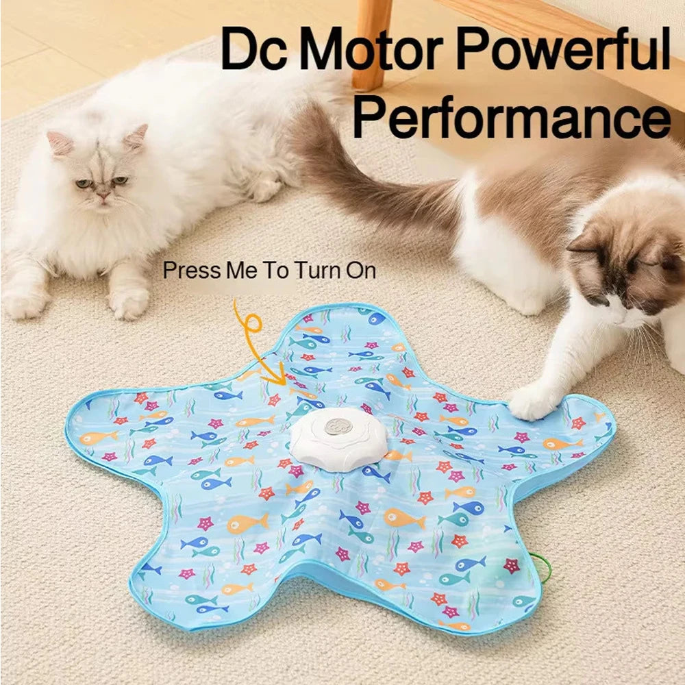Interactive Hide & Seek Cat Toy