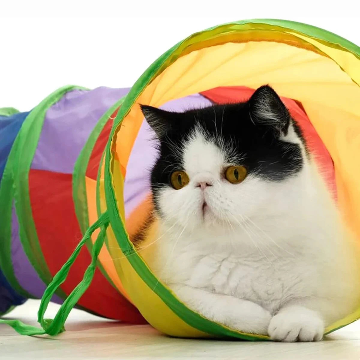 Foldable Cat Tunnel Tube