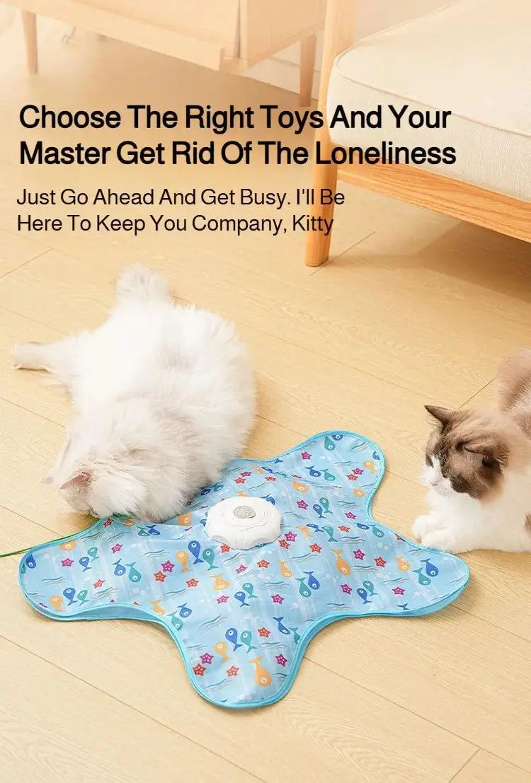Interactive Hide & Seek Cat Toy