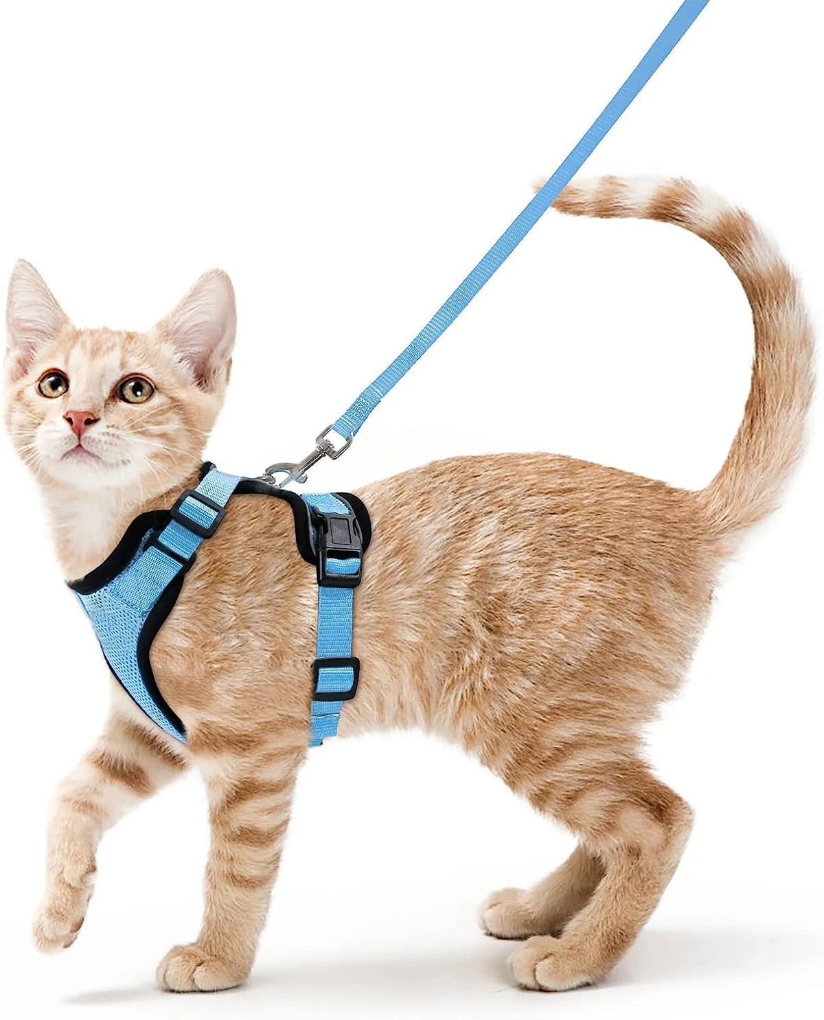 Adjustable Cat Harness & Leash Set