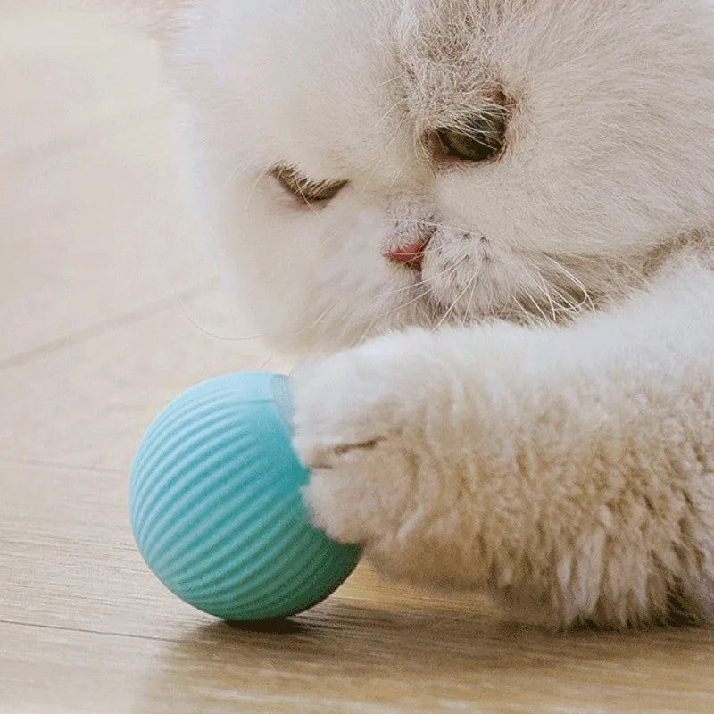 Smart Rolling Interactive Cat Ball