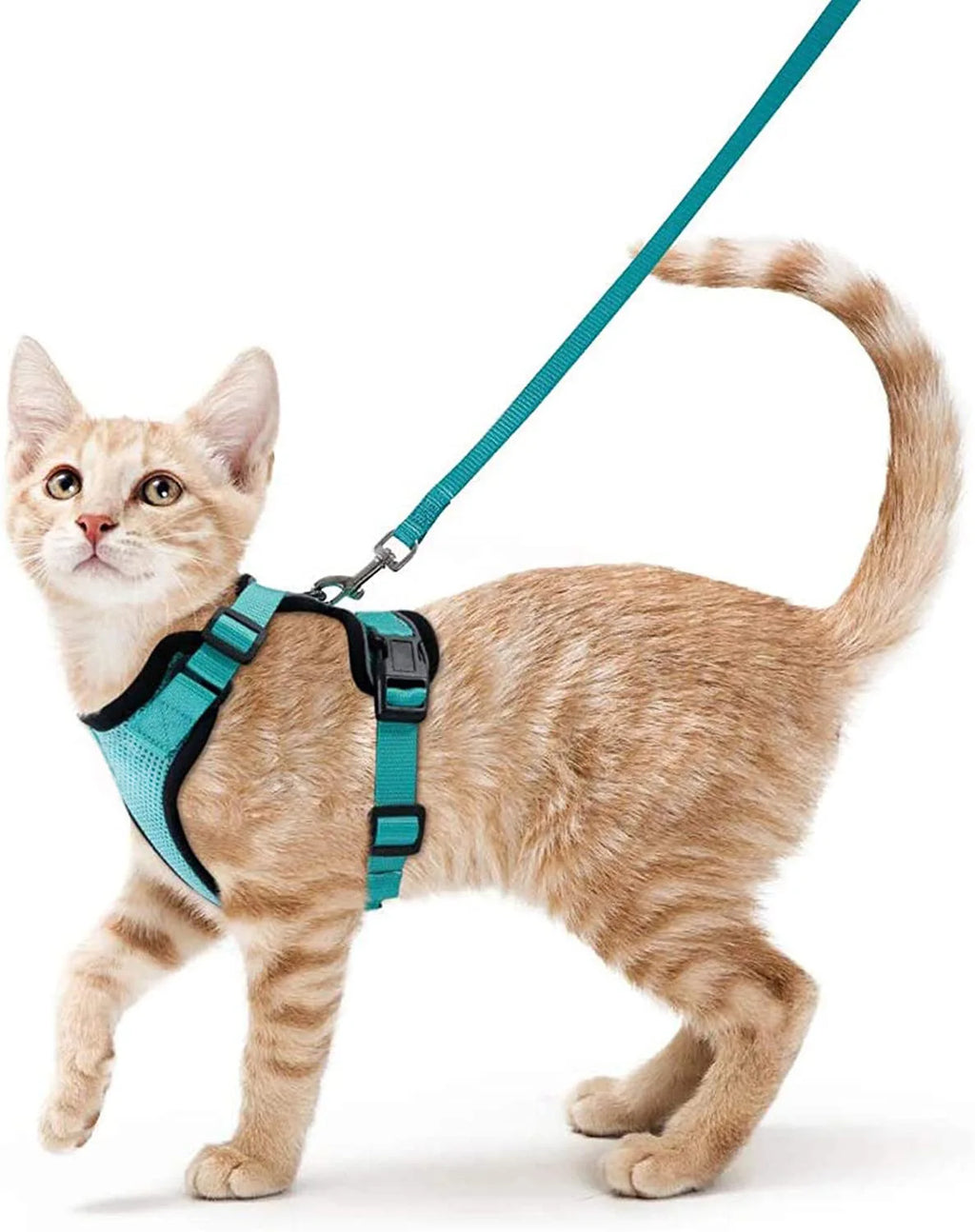 Adjustable Cat Harness & Leash Set