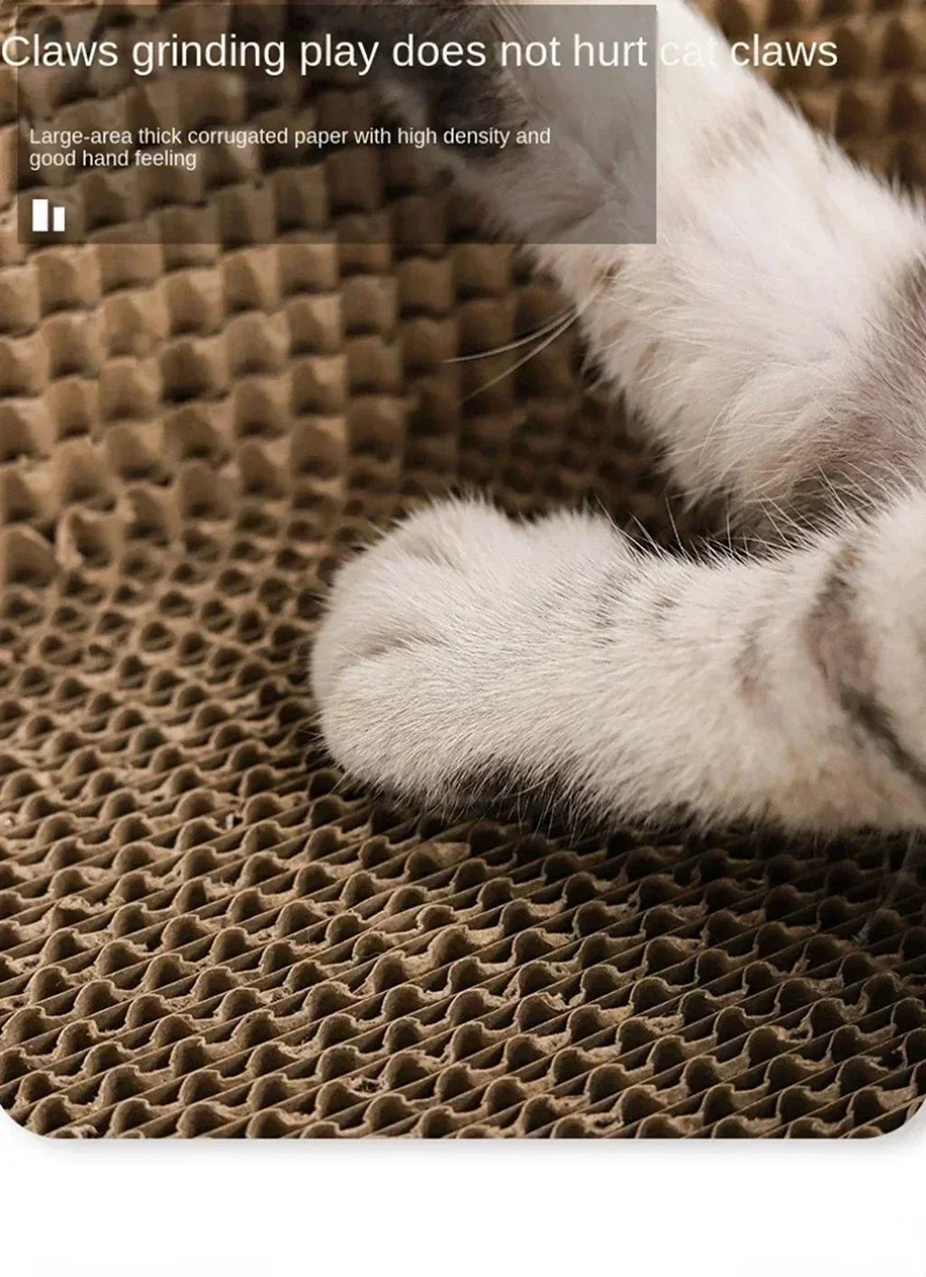 Oval Cat Scratching Board