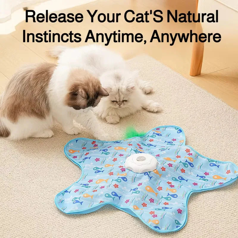Interactive Hide & Seek Cat Toy