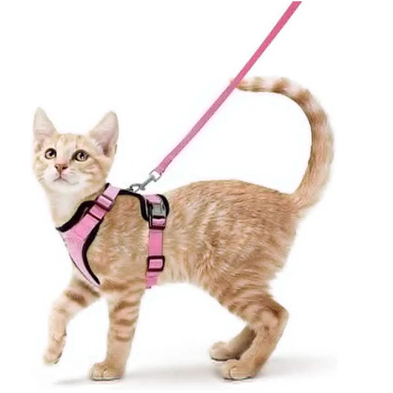 Adjustable Cat Harness & Leash Set