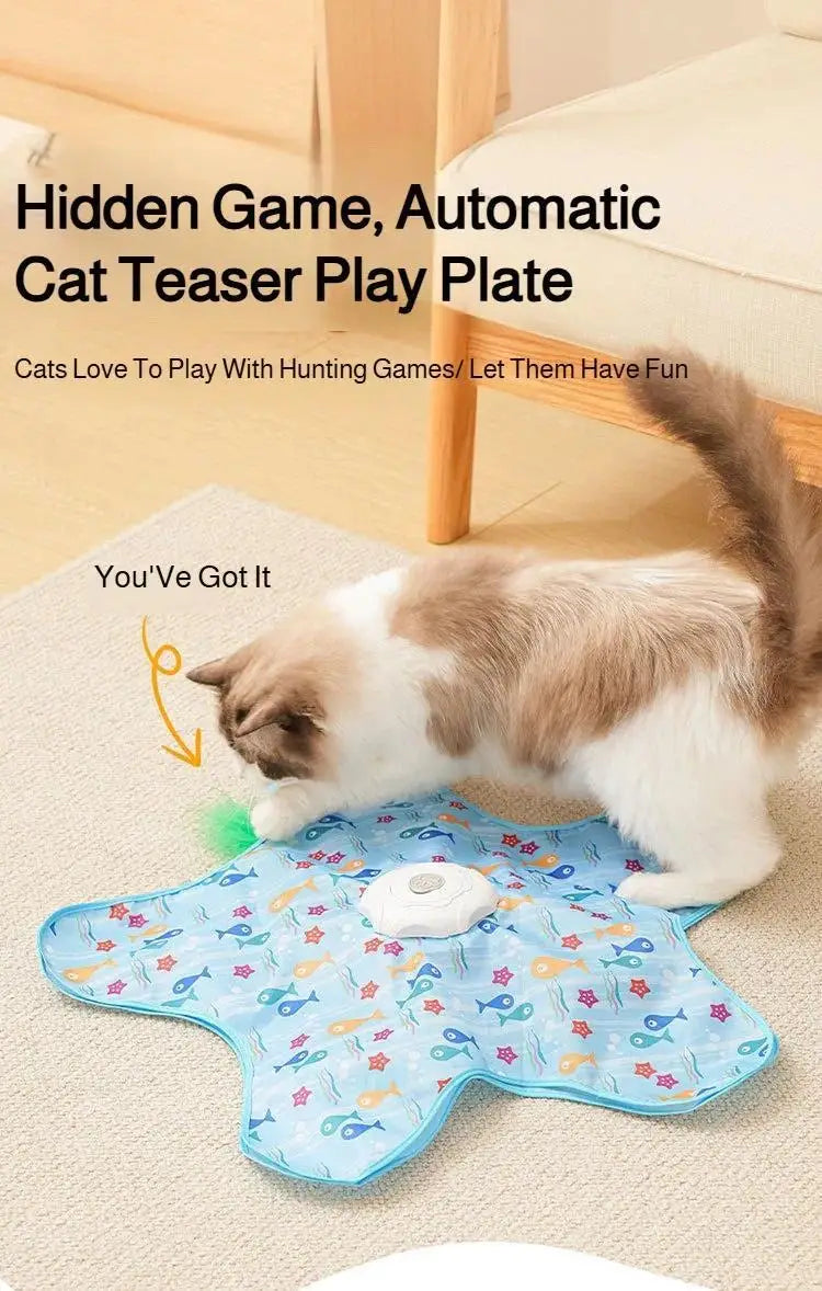 Interactive Hide & Seek Cat Toy