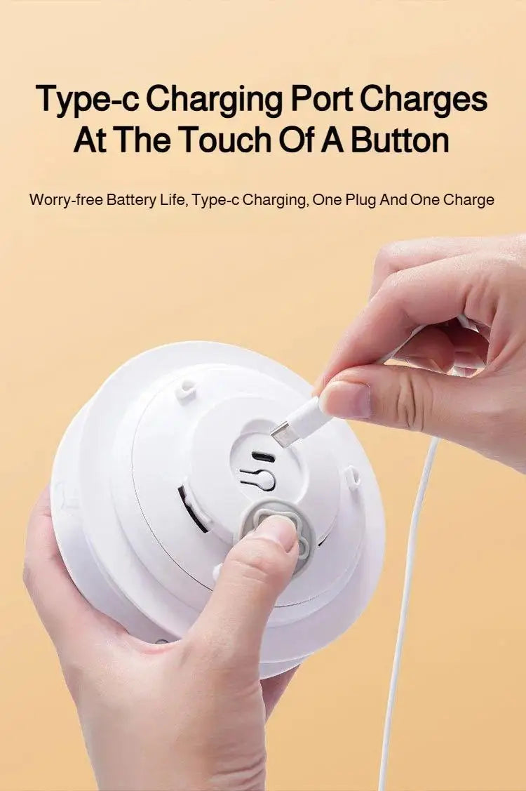 Interactive Hide & Seek Cat Toy