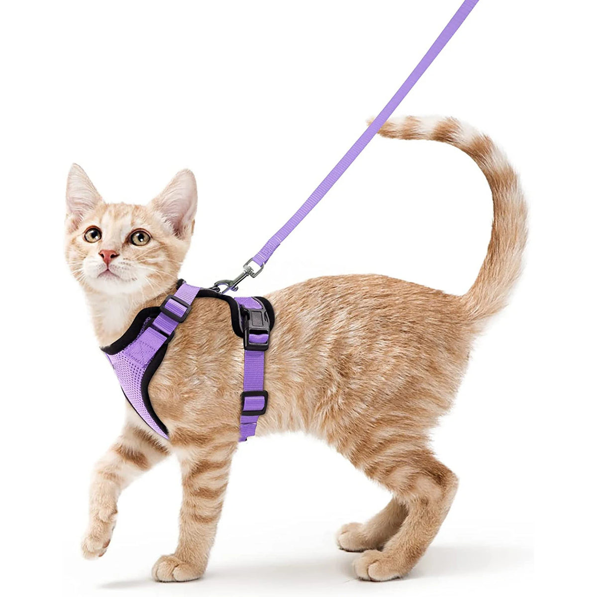 Adjustable Cat Harness & Leash Set