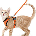 Adjustable Cat Harness & Leash Set