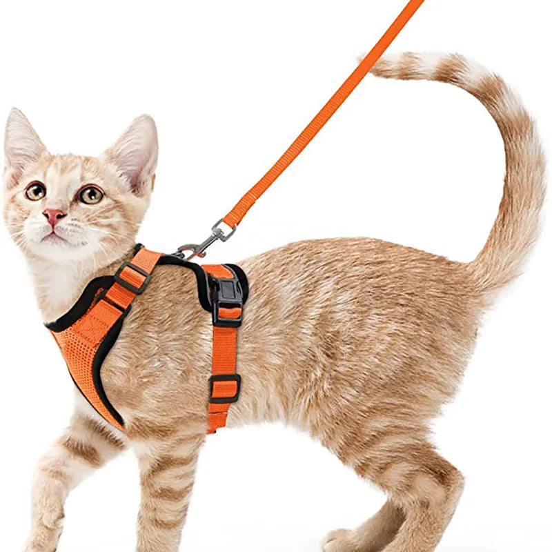 Adjustable Cat Harness & Leash Set