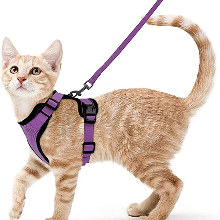 Adjustable Cat Harness & Leash Set