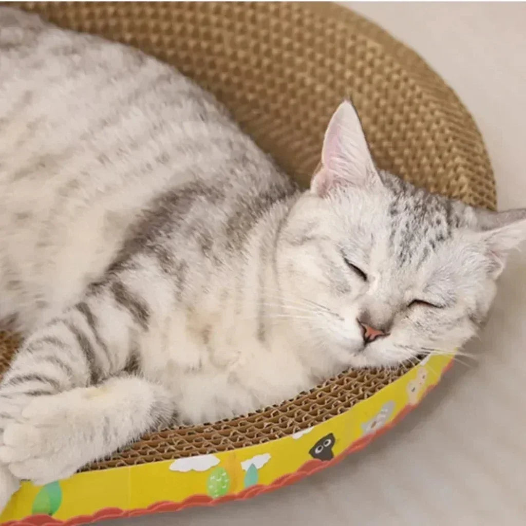 Oval Cat Scratching Board