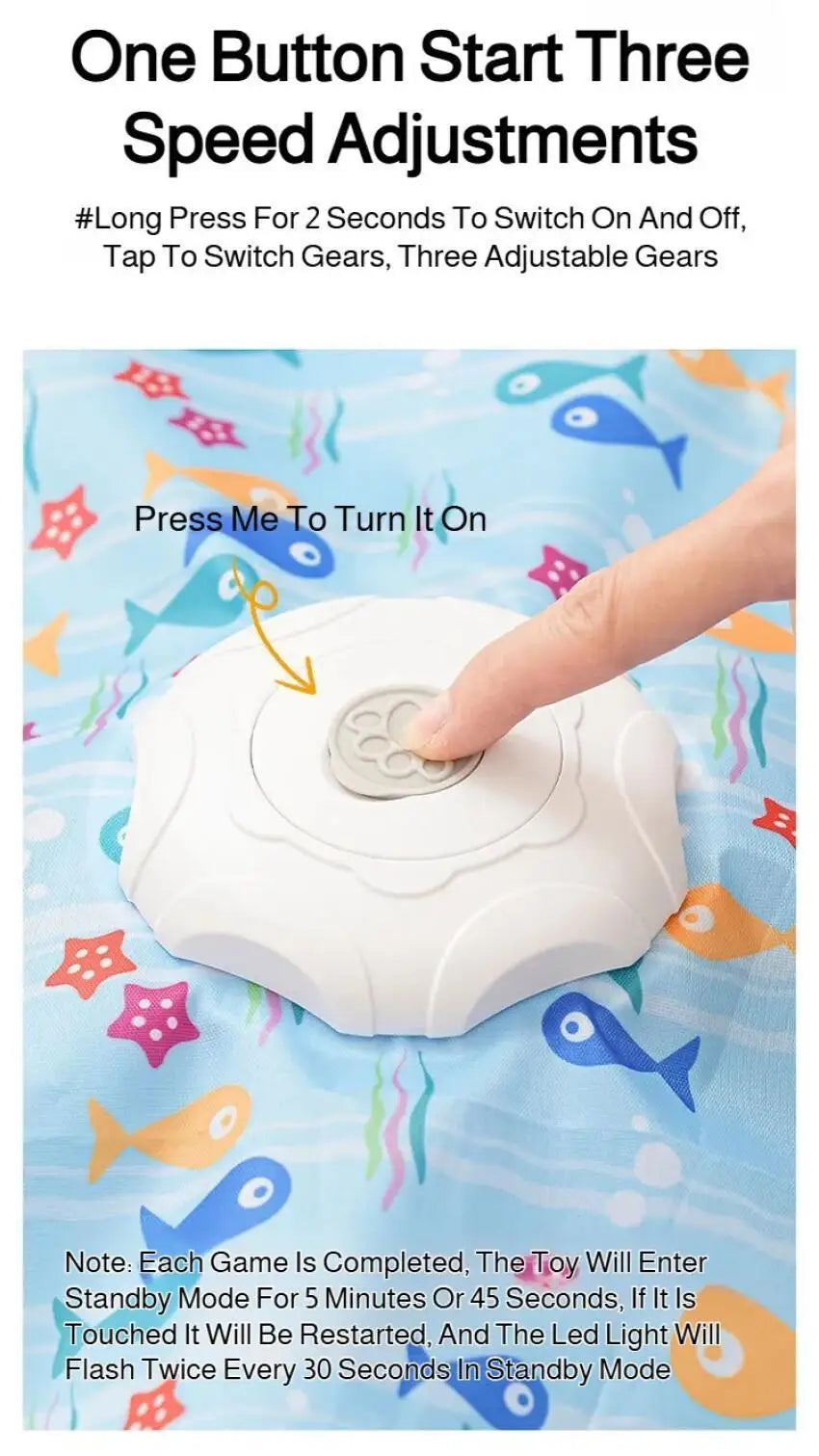 Interactive Hide & Seek Cat Toy