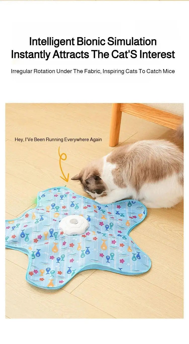 Interactive Hide & Seek Cat Toy