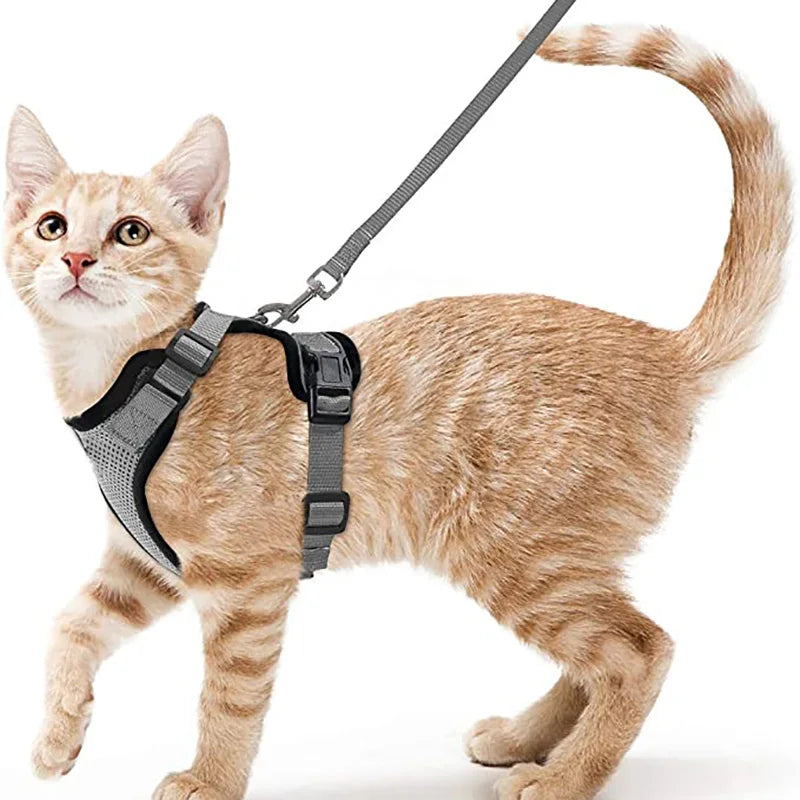 Adjustable Cat Harness & Leash Set