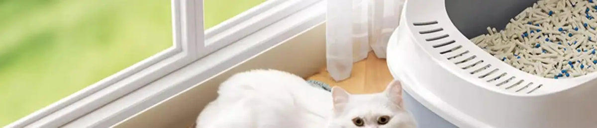 Heavy-Duty Waterproof Cat Litter Mat