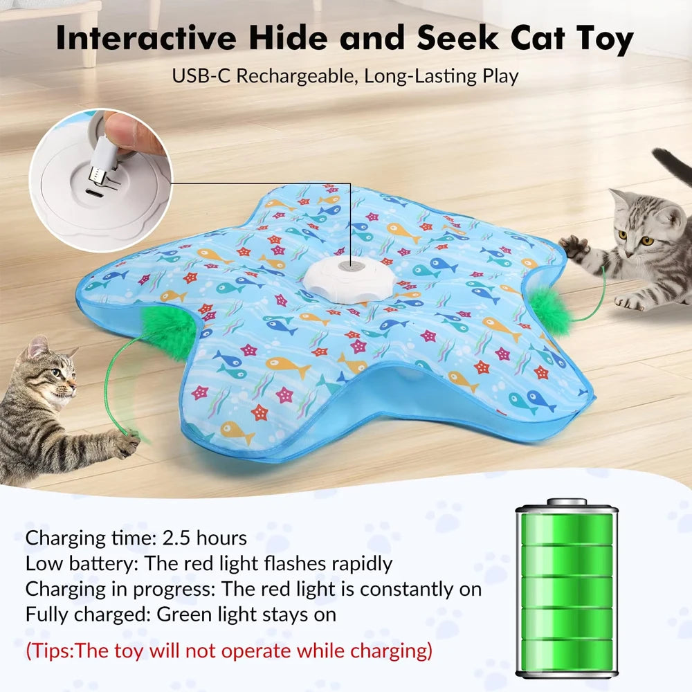 Interactive Hide & Seek Cat Toy