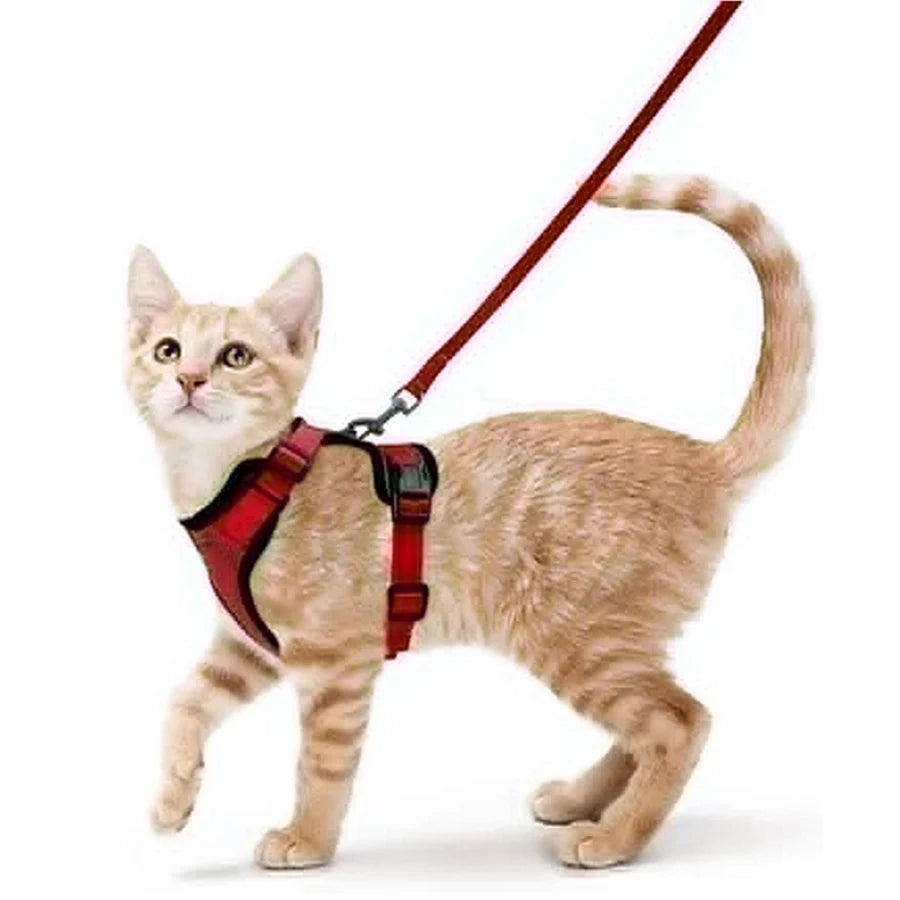 Adjustable Cat Harness & Leash Set