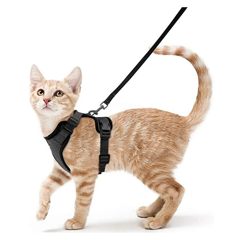 Adjustable Cat Harness & Leash Set