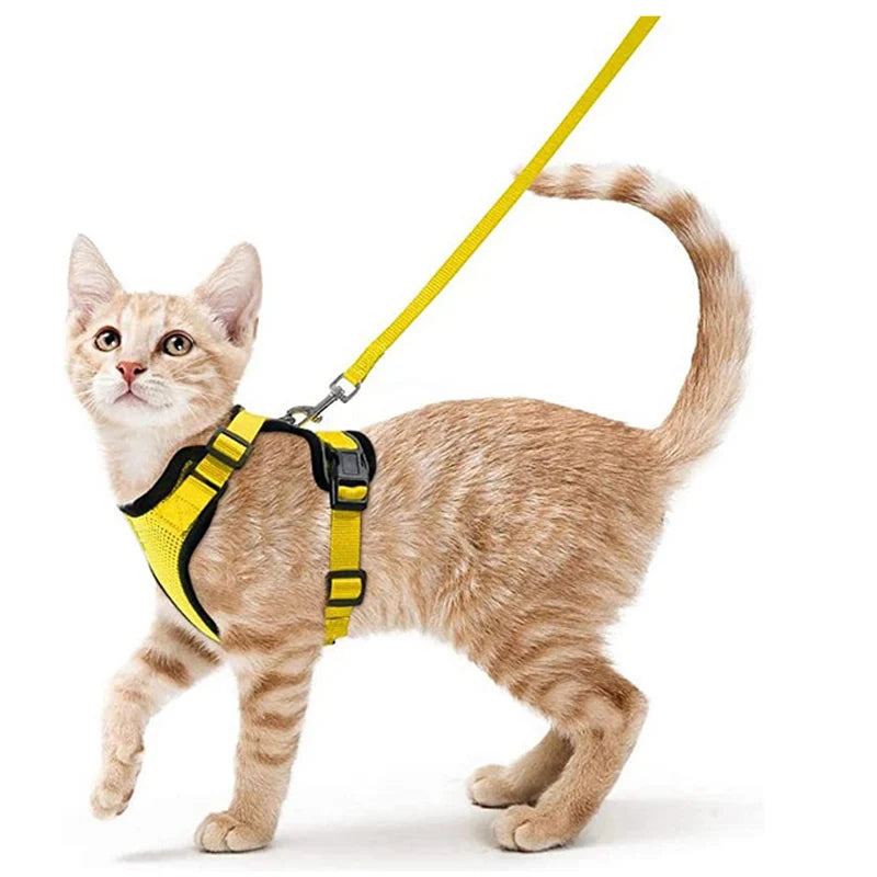 Adjustable Cat Harness & Leash Set