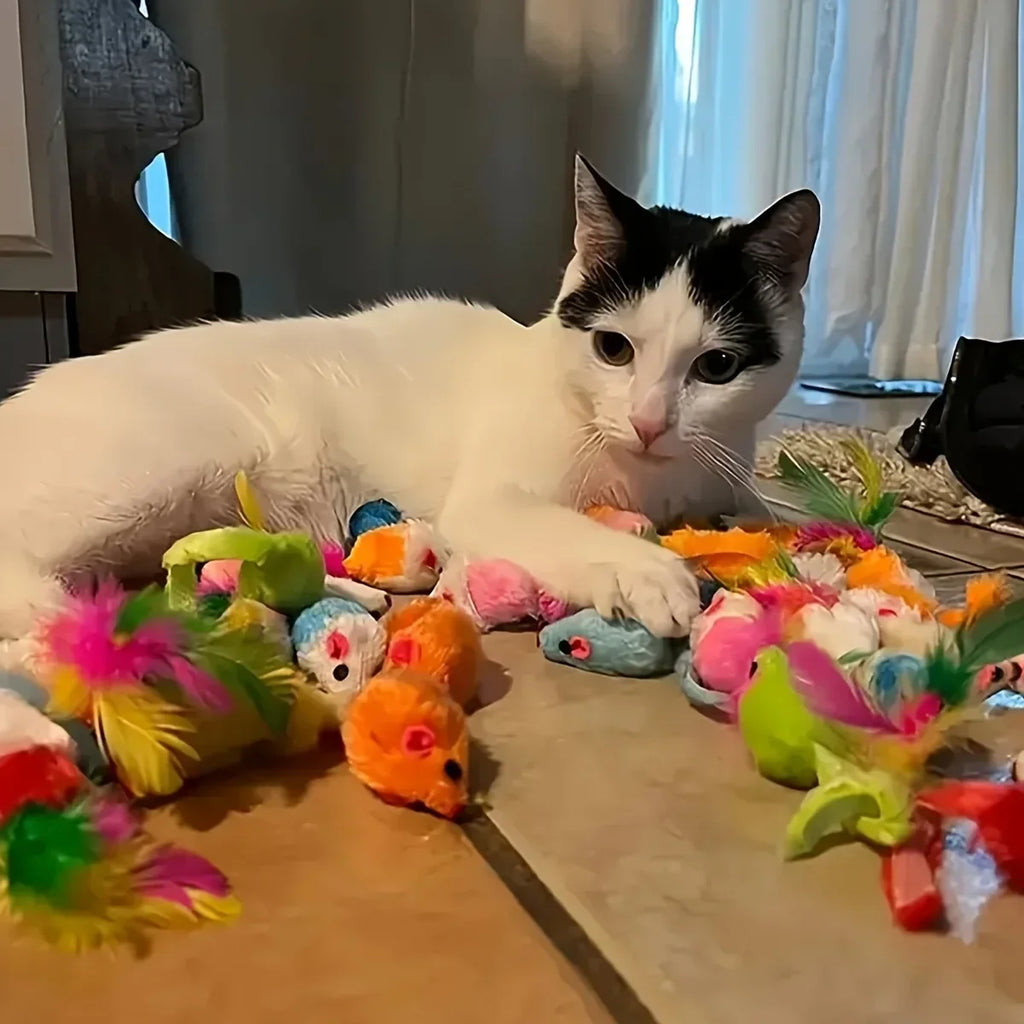 Cat Toys Mixed Pack (14/28/56 pcs)