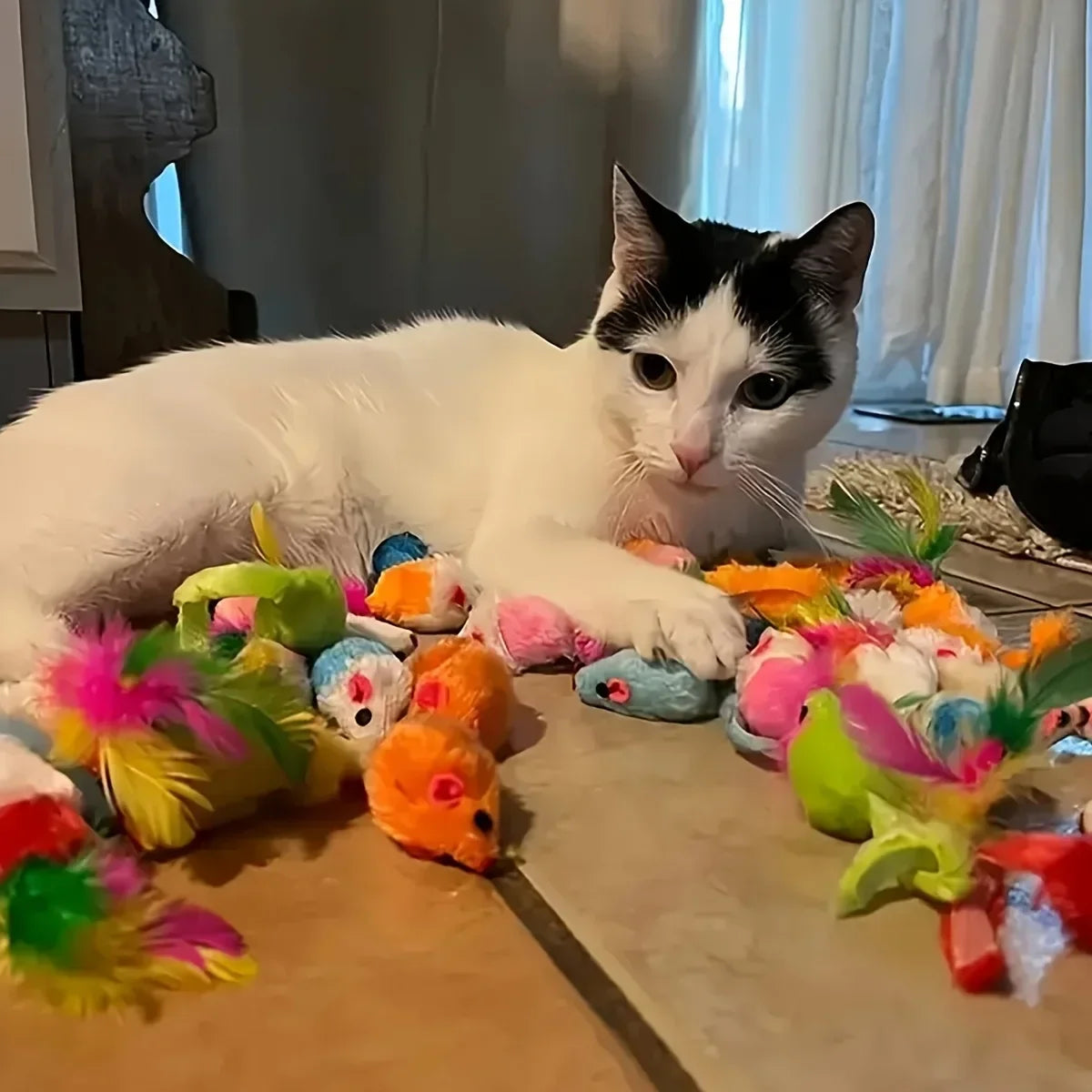 Cat Toys Mixed Pack (14/28/56 pcs)
